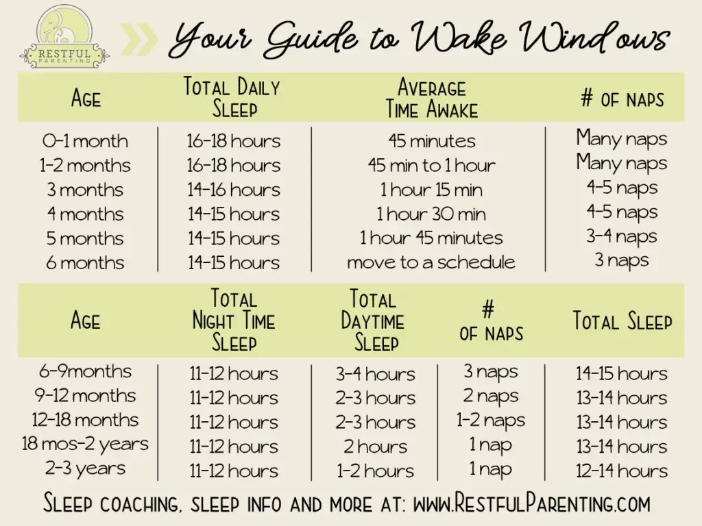 Your Guide